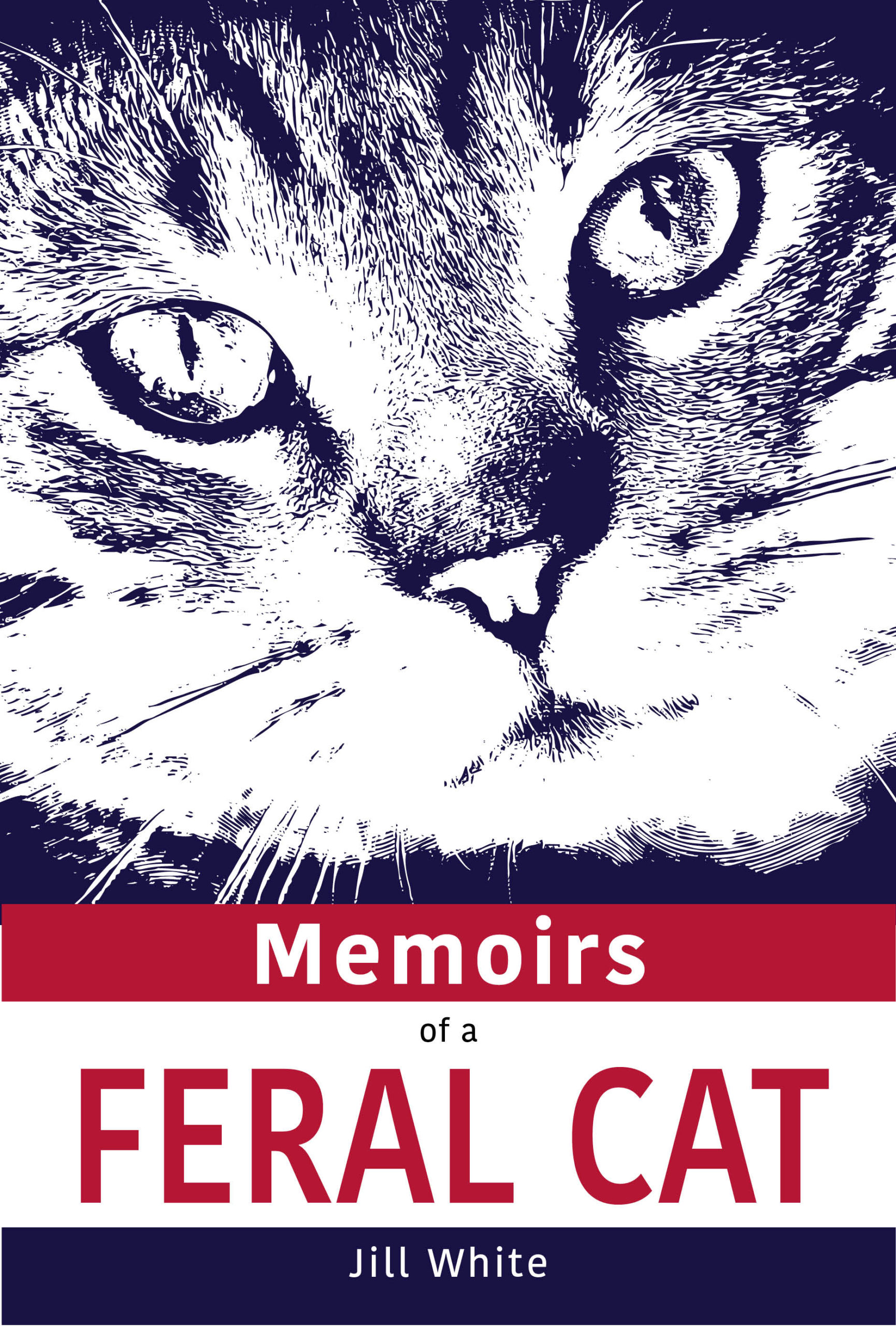 Memoirs of a Feral Cat